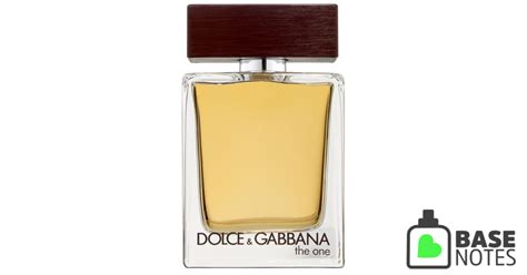 dolce gabbana by man basenotes